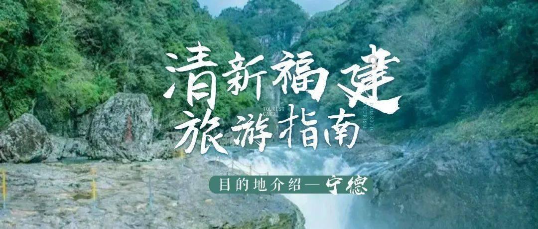 机动车在非机动车道行驶出了事故怎么定责？-专业问答网站，解决您的问题